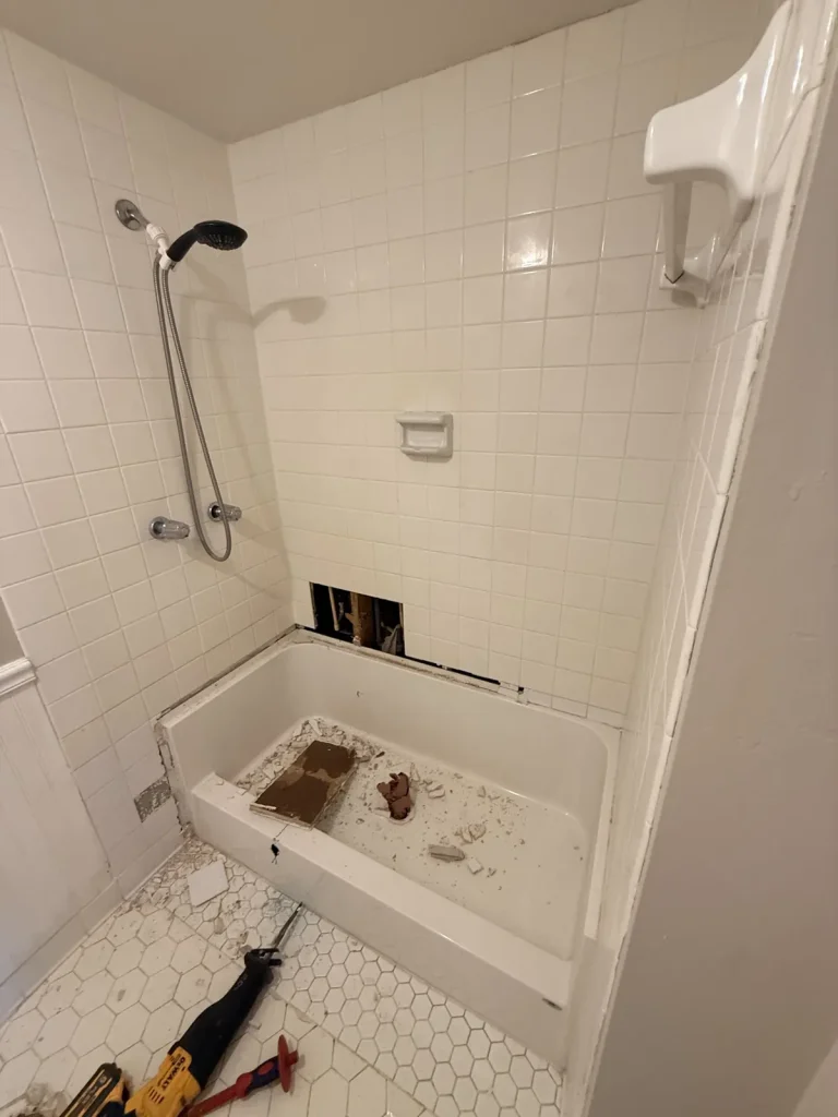 Before: old tub and shower combo